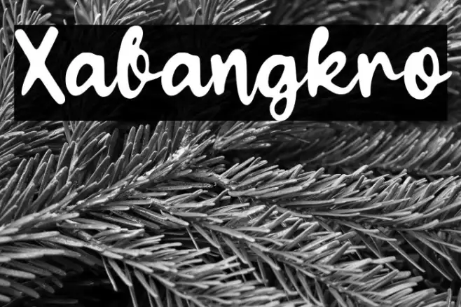 Xabangkro Example 3