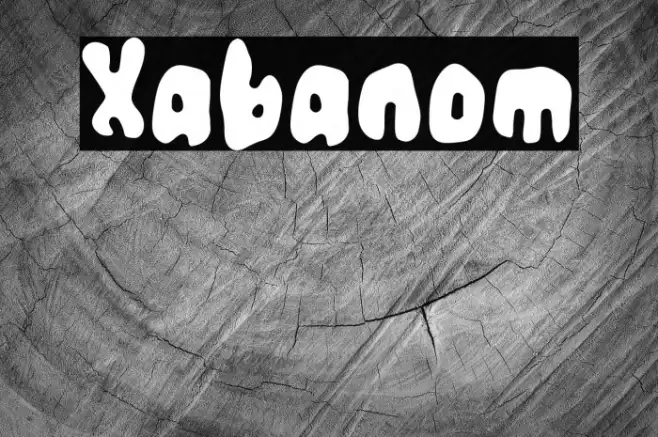 Xabanom Example 3