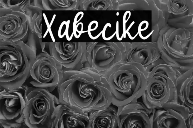 Xabecike Example 3