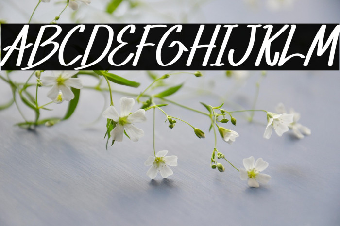 Xabiya Demo Italic Example 1