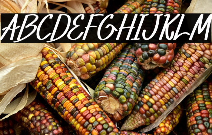 Xabiya Demo Italic Example 3