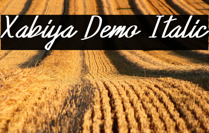 Xabiya Demo Italic Example 2