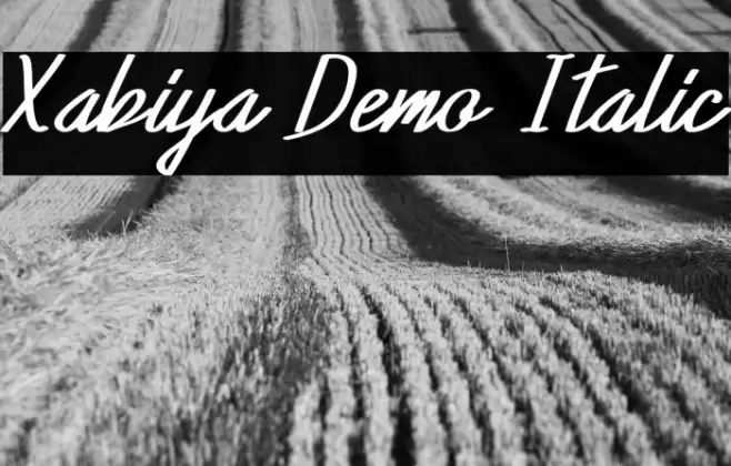 Xabiya Demo Italic Font examples