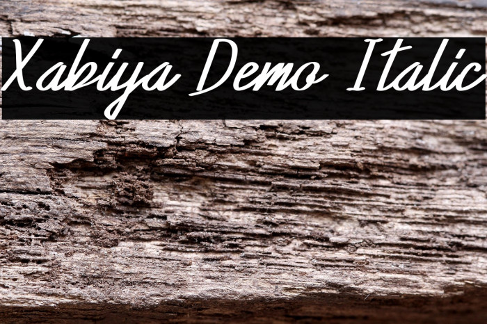 Xabiya Demo Italic Example 3