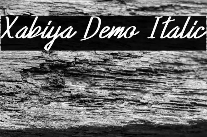 Xabiya Demo Italic Font examples
