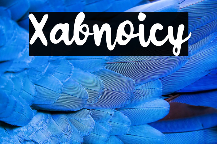 Xabnoicy Example 3