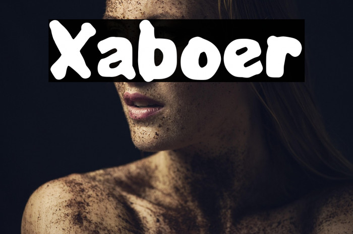 Xaboer Example 1