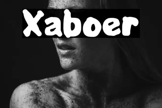 Xaboer Example 2