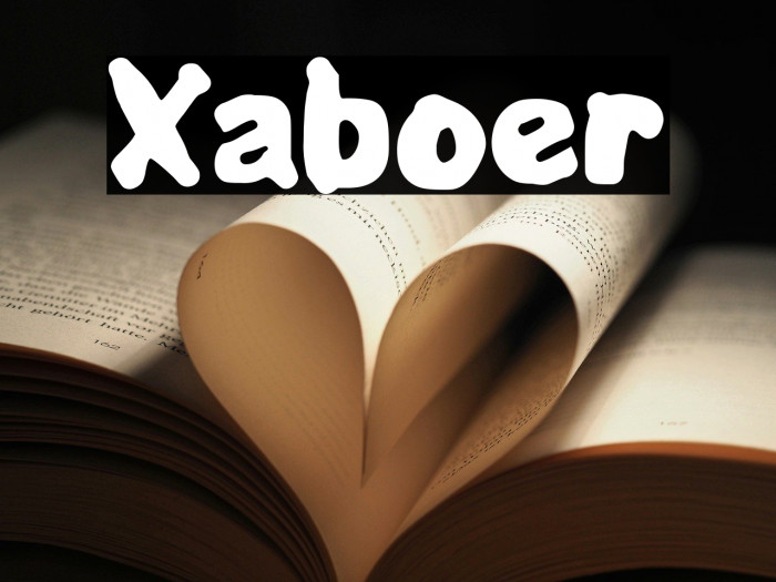 Xaboer Example 3