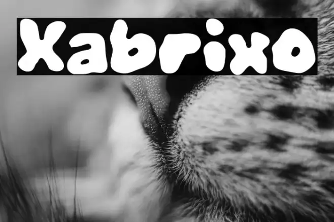 Xabrixo Example 1