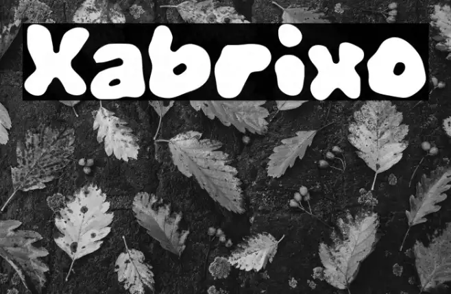 Xabrixo Example 2