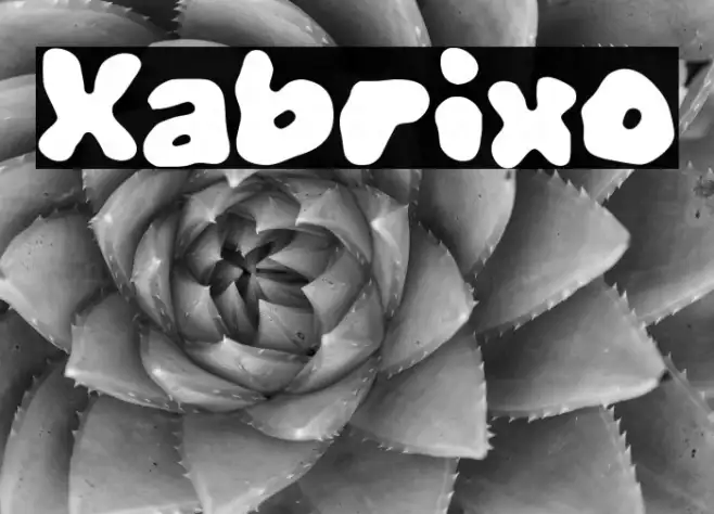 Xabrixo Example 3