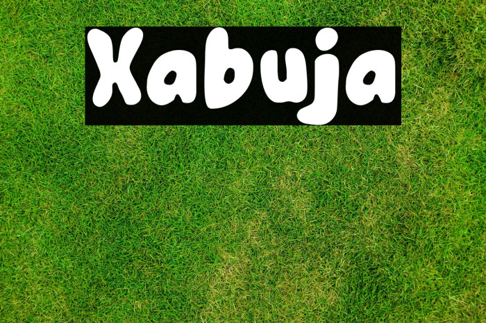 Xabuja Example 1