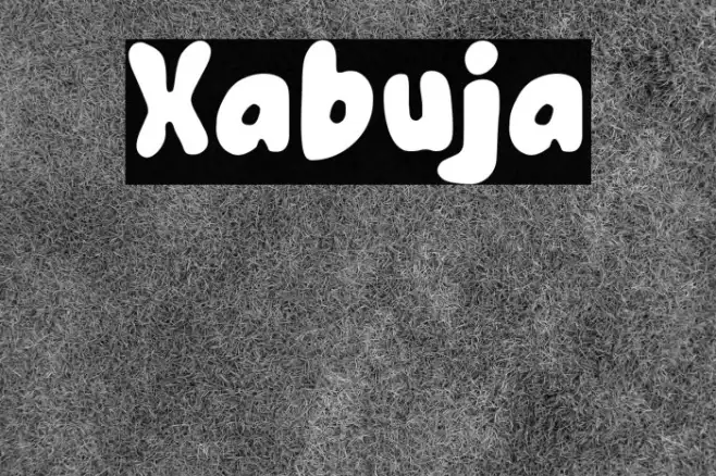 Xabuja Example 1