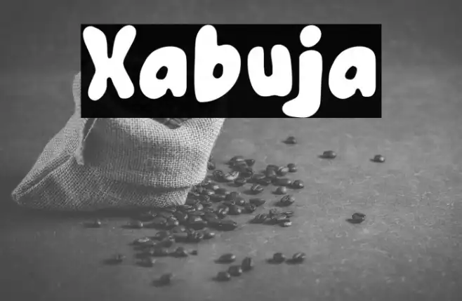 Xabuja Example 2
