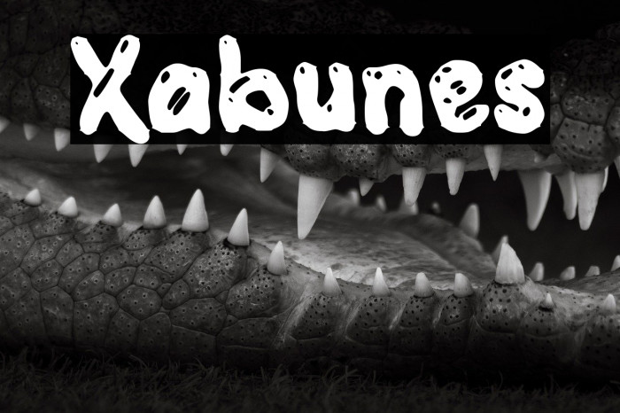 Xabunes Example 1