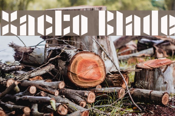 Xacto Blade Example 1