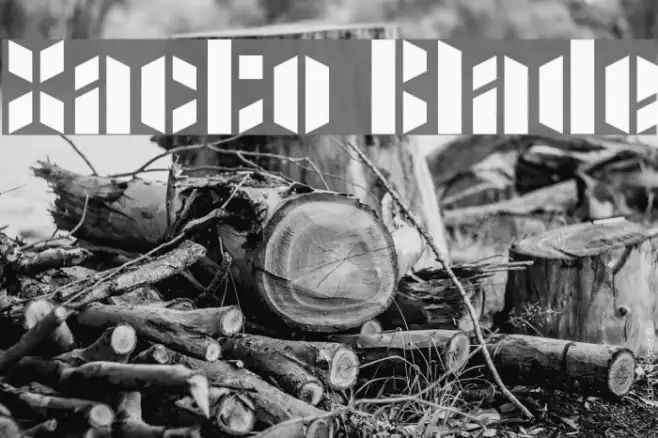 Xacto Blade Example 1