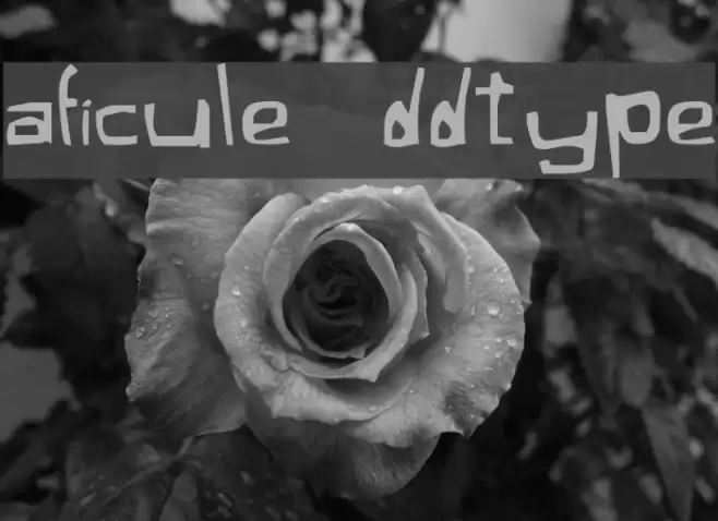 Xaficule Oddtype Font examples