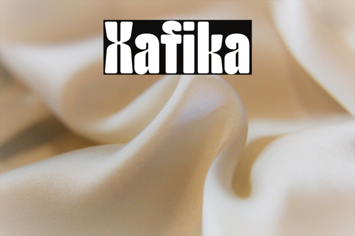 Xafika Example 2
