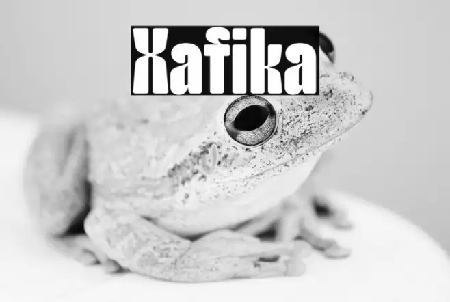 Xafika Example 3