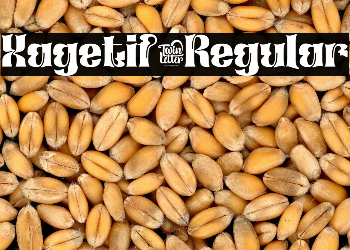 Xagetif-Regular Example 1