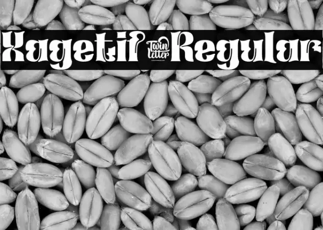 Xagetif-Regular Font examples