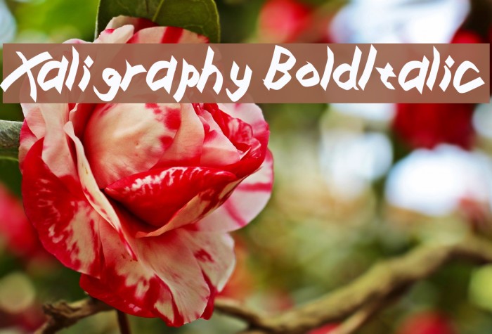 Xaligraphy BoldItalic フォント examples