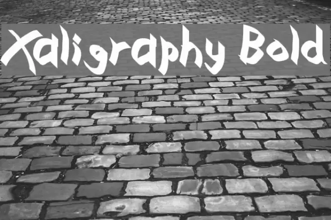 Xaligraphy Bold Font examples