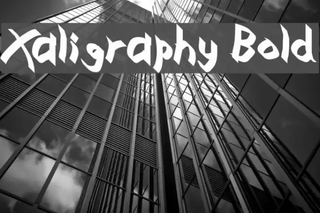 Xaligraphy Bold Font examples