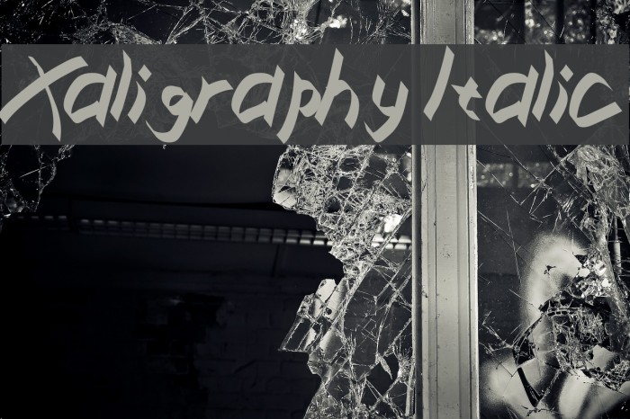 Xaligraphy Italic Font examples