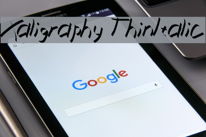 Xaligraphy ThinItalic Font examples