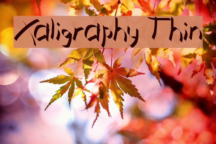 Xaligraphy Thin Font examples