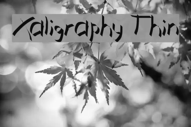 Xaligraphy Thin フォント examples