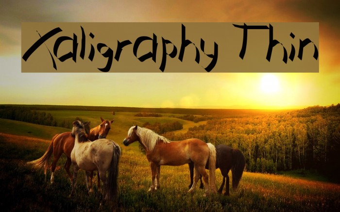Xaligraphy Thin Font examples