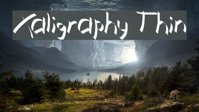 Xaligraphy Thin Font examples