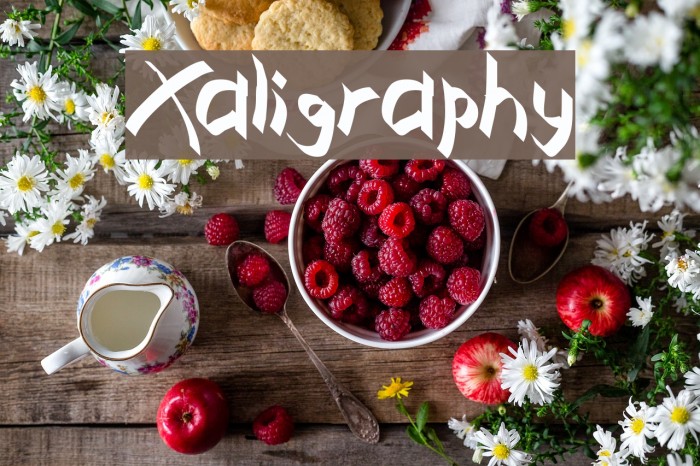 Xaligraphy Font examples