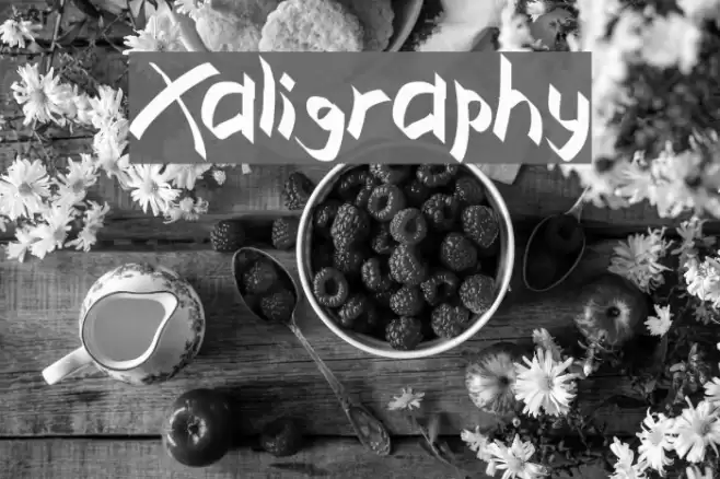 Xaligraphy Schriftart examples