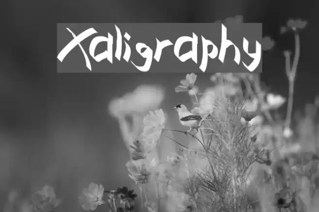 Xaligraphy Schriftart examples