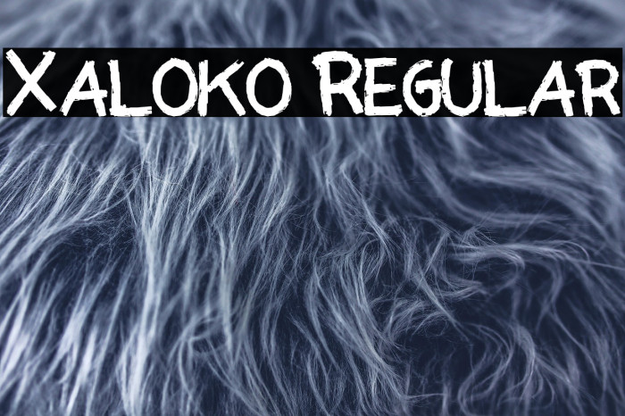 Xaloko Regular Example 1