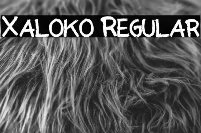 Xaloko Regular フォント examples