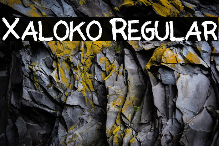 Xaloko Regular Example 2