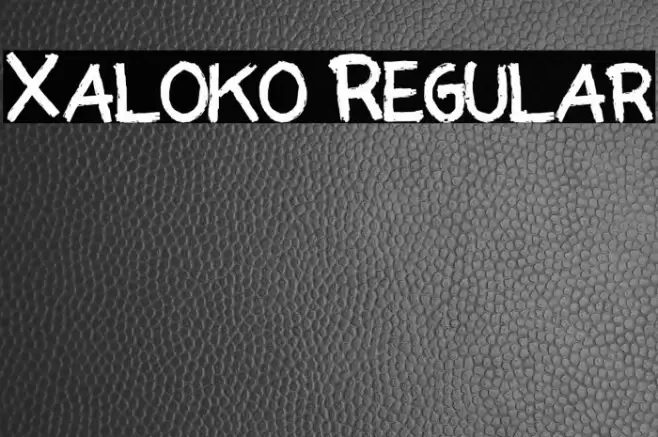 Xaloko Regular フォント examples