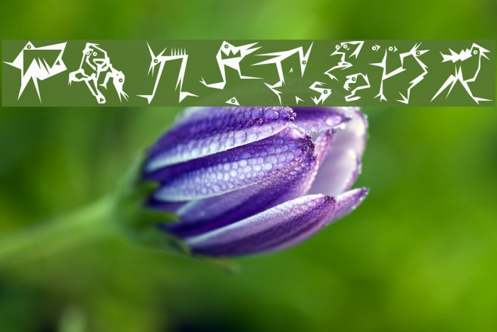 XamStern フォント examples