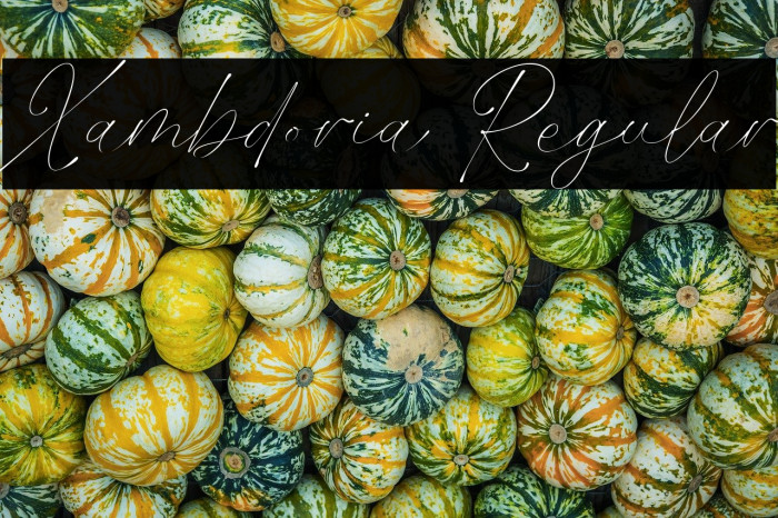 Xambdoria Regular Example 2