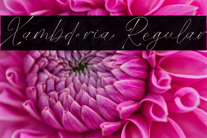 Xambdoria Regular Example 3