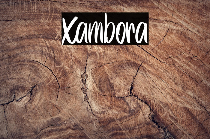 Xambora Example 1