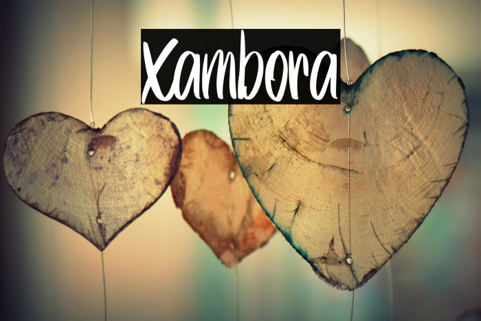 Xambora Example 2
