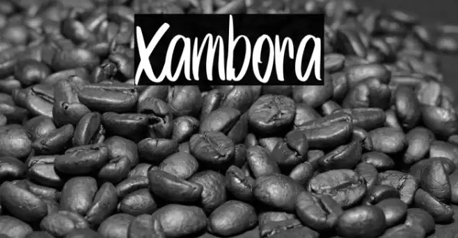 Xambora Example 3
