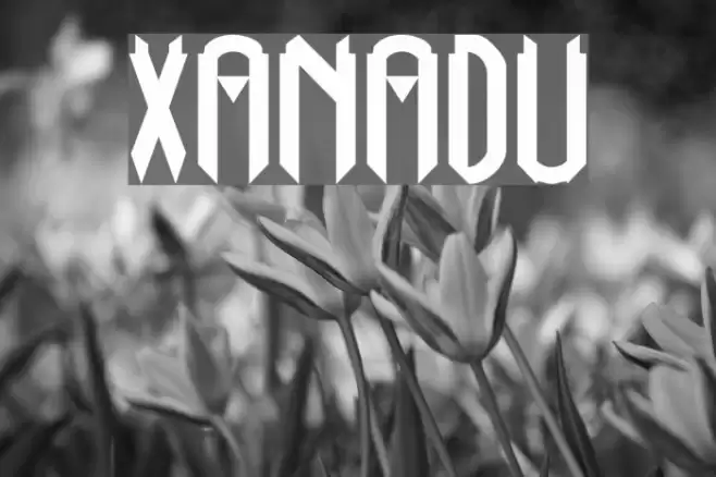 Xanadu Font examples
